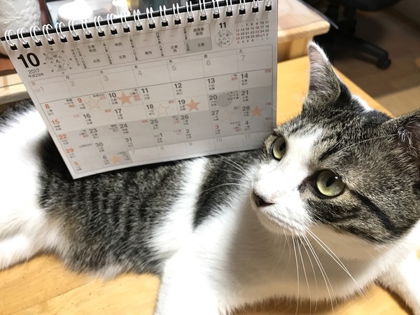 2017年10月