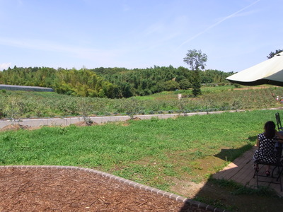04.広がる果樹園