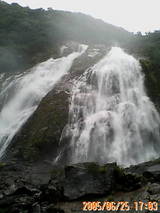 20050625170339.jpg