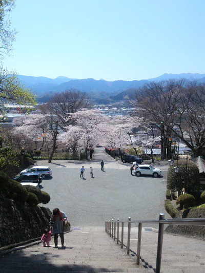 03.参道を見下ろす