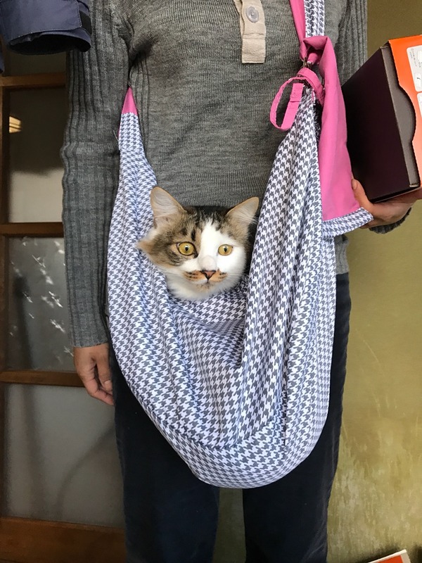 まるみ氏