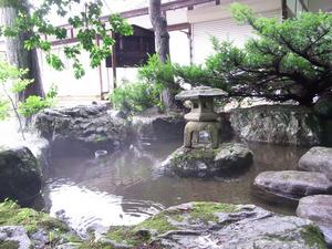 きれいな水