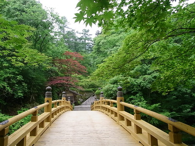 07.美しい庭園も