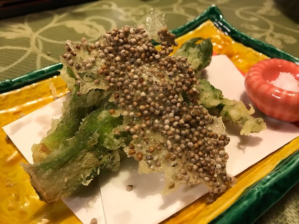 �����ޤΤ����Ȥ�