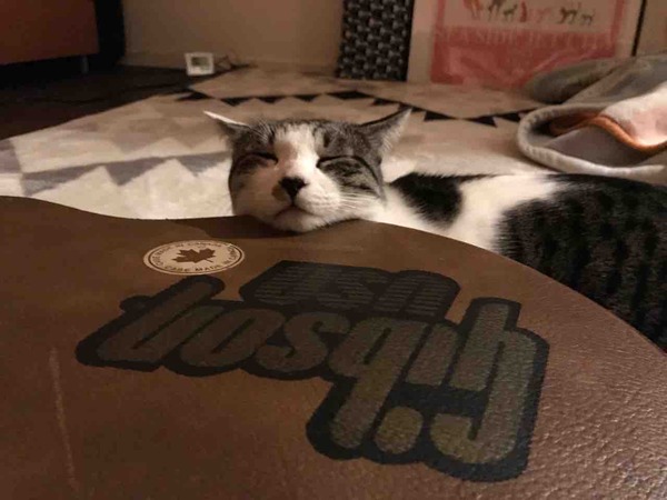 ��ۤʥ����褻��