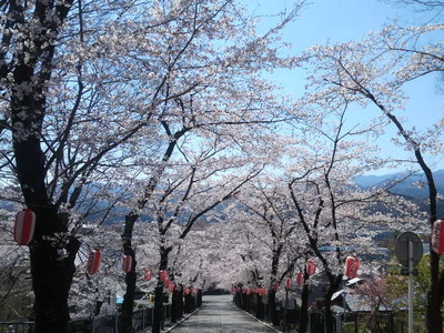 04.ど満開