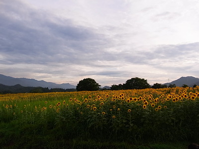 04.物語の中のような空間