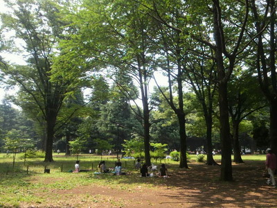02.良き木陰発見