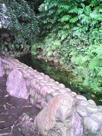 ��Ƿ���Τ���