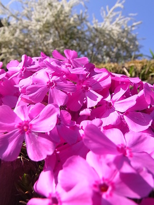 ��������Ȩ���ȼǺ�