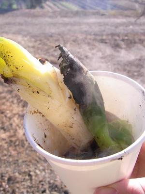 09.ネギが焼けました