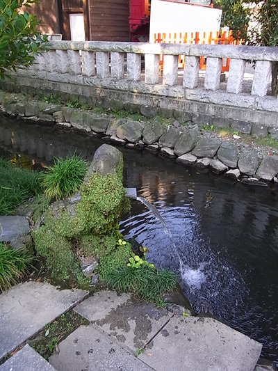 12.豊富な湧出量