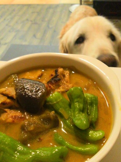 ココナツチキンカレーとしらね