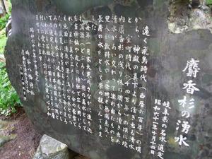 麝香杉の湧水