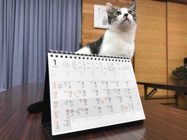 2019年1月