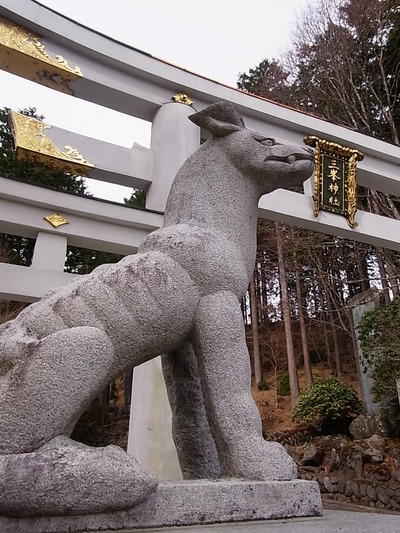 08.狼らしいフォルム