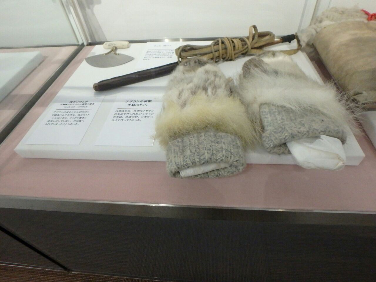 10月17日板橋の植村冒険館にて ぴょん太郎アスリートのブログ