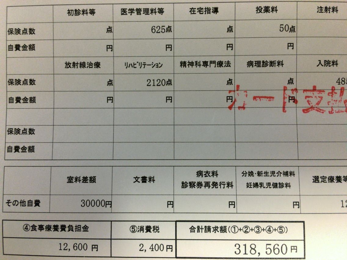 前十字靱帯再建の費用 半月板損傷 前十字靱帯再建日記 前十字靱帯再建の費用 半月板損傷 前十字靱帯再建日記