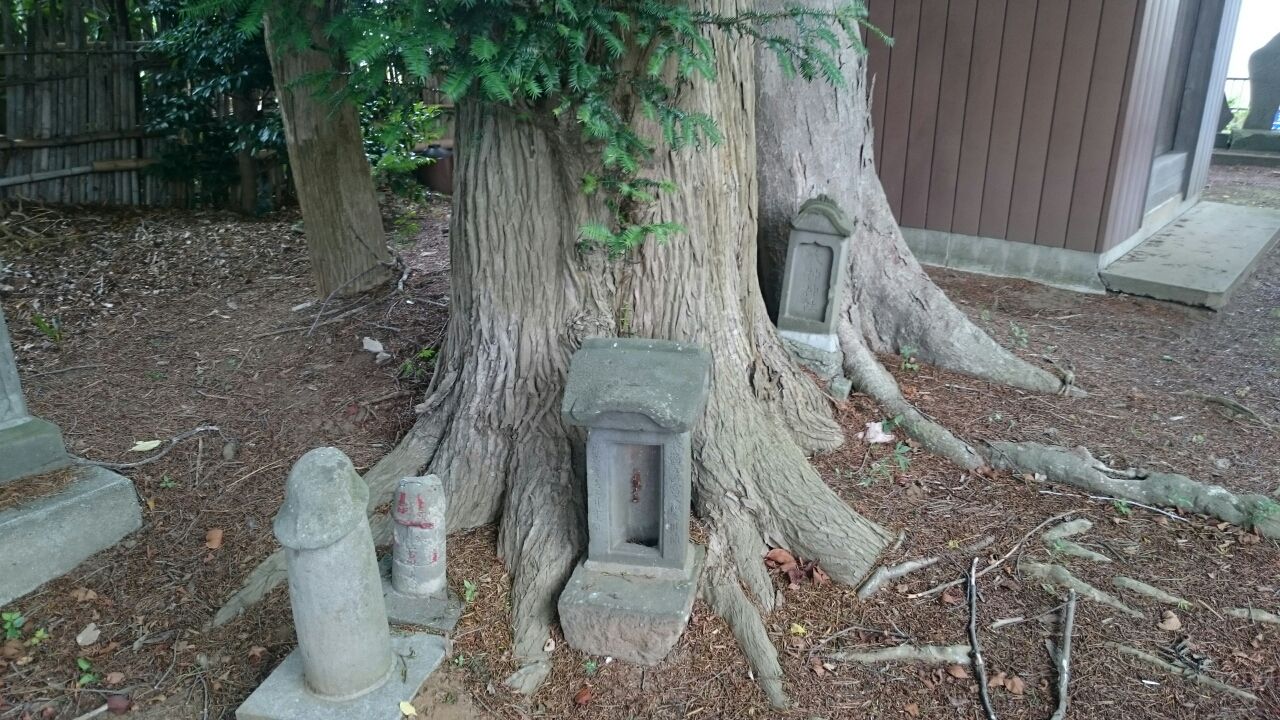 取手 生殖器崇拝 神明神社にある男根の石仏 melt Town 取手 生殖器崇拝 神明神社にある男根の石仏 melt Town