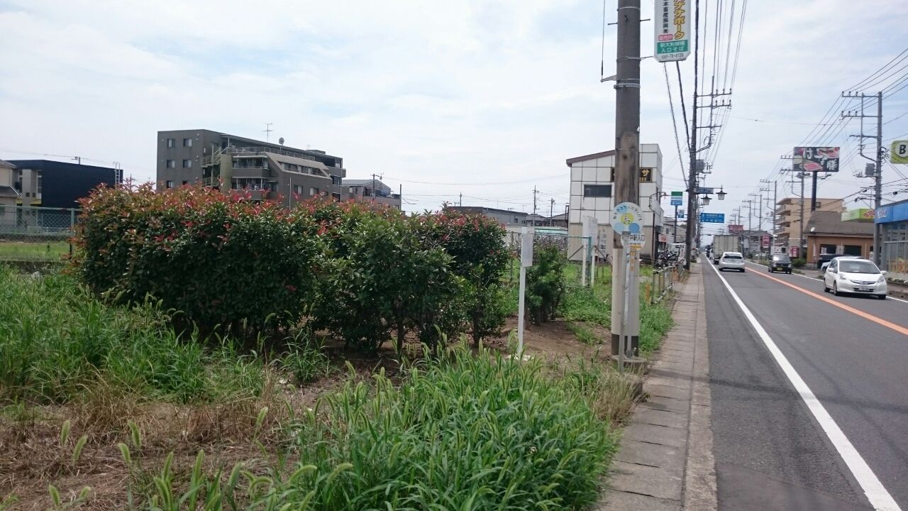 取手 桔梗塚にある男根の石塔 Anabolic Town 取手 桔梗塚にある男根の石塔 Anabolic Town
