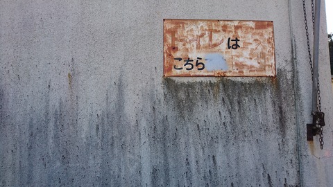 DSC_4377
