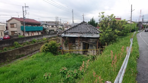DSC_8080