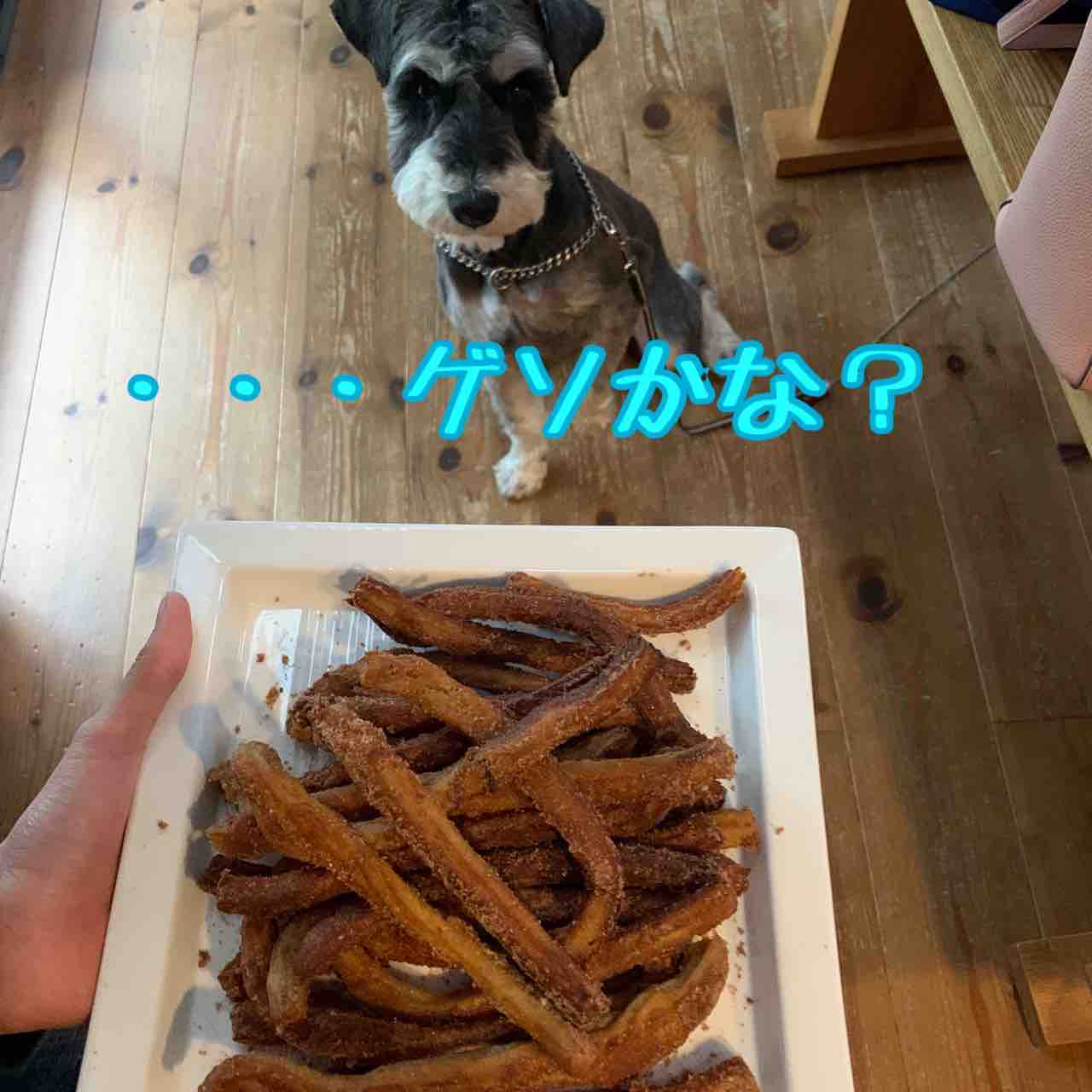 パンドラの箱 Junkers ユンカース ゆんかーす パンドラの箱 Junkers ユンカース ゆんかーす