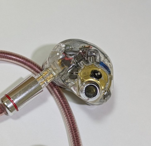 PXL_20250618_134720399.PORTRAIT