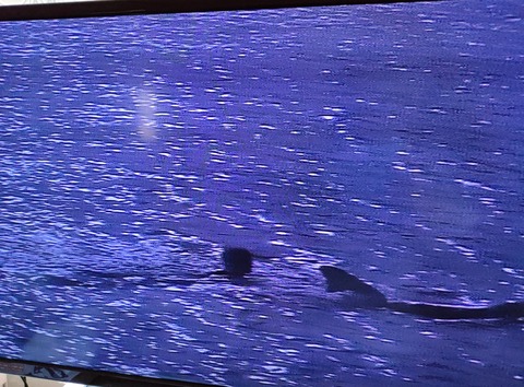 IMG20220604141230 - Edited