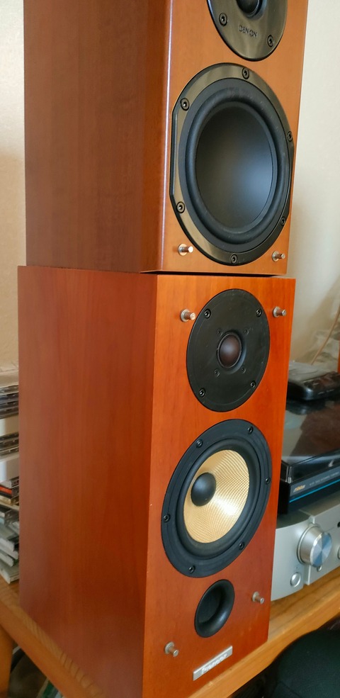 IMG20230128133224 - Edited