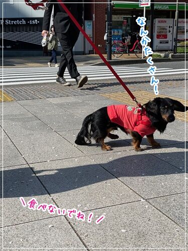 0405Chi6