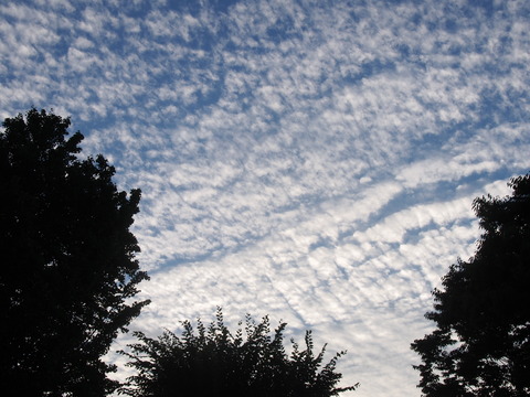 P9010357