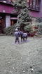 2009101616150000 (2)