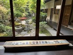 IMG_7554