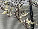 IMG_1703