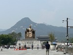 IMG_8515