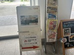 IMG_2295