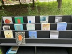IMG_8664