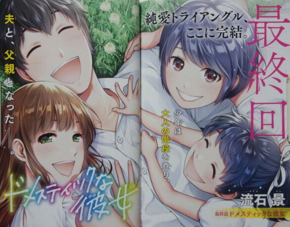コミック ドメスティックな彼女 28巻付録 イラスト集 Over50 コミック ドメスティックな彼女 28巻付録 イラスト集 Over50