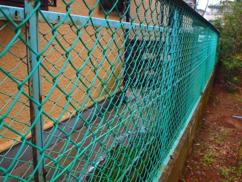 外構diy フェンス1 金網をはずす 天然素材de小さな木の家