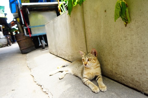 batch_DSC09001