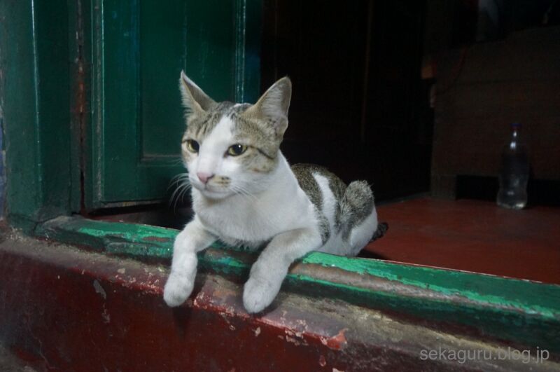 batch_DSC04374