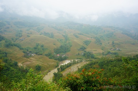 batch_DSC08067