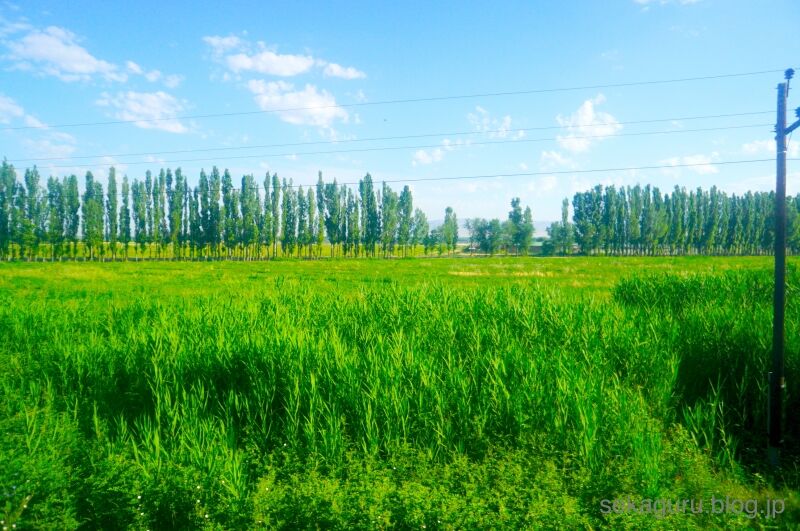 batch_DSC05744
