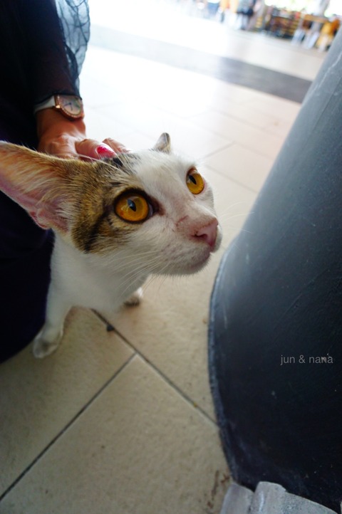 batch_DSC07844