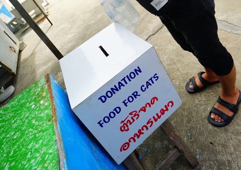 batch_DSC01732
