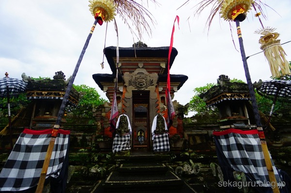 batch_CDSC011244