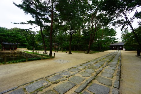 batch_DSC05595