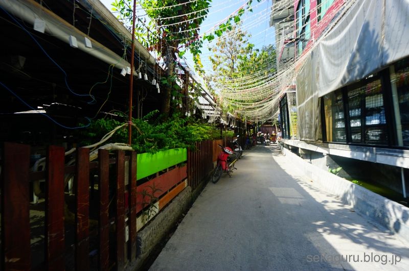 batch_DSC04205