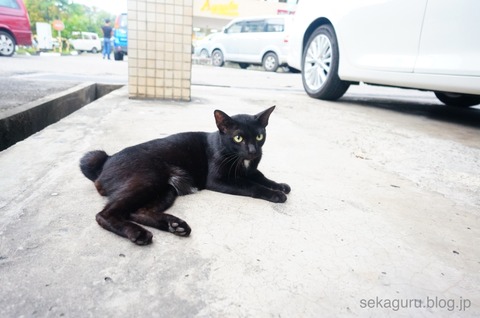 batch_DSC00785